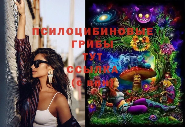 спайс Белокуриха