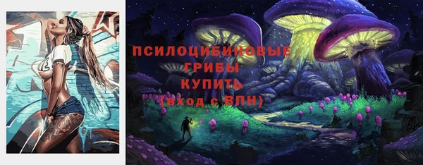 спайс Белокуриха