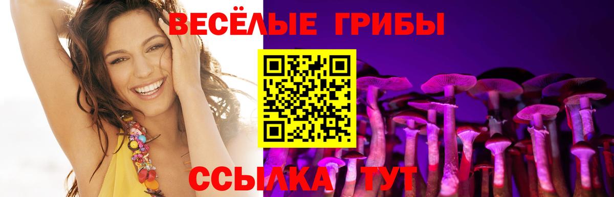 Псилоцибиновые грибы Psilocybe  Вход с VPN  Псилоцибиновые грибы мухоморы  где купить   Горно-Алтайск 